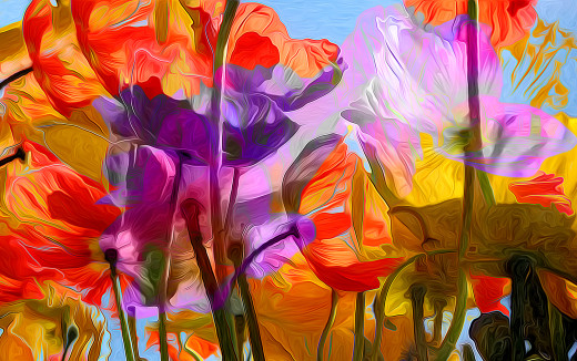 1009969 (a): :1920x1201